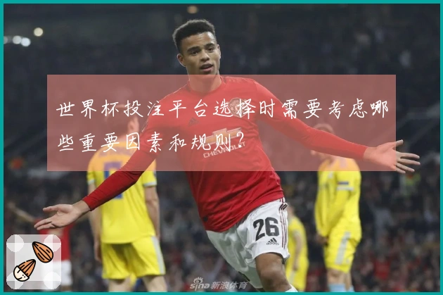 世界杯投注平台选择时需要考虑哪些重要因素和规则?