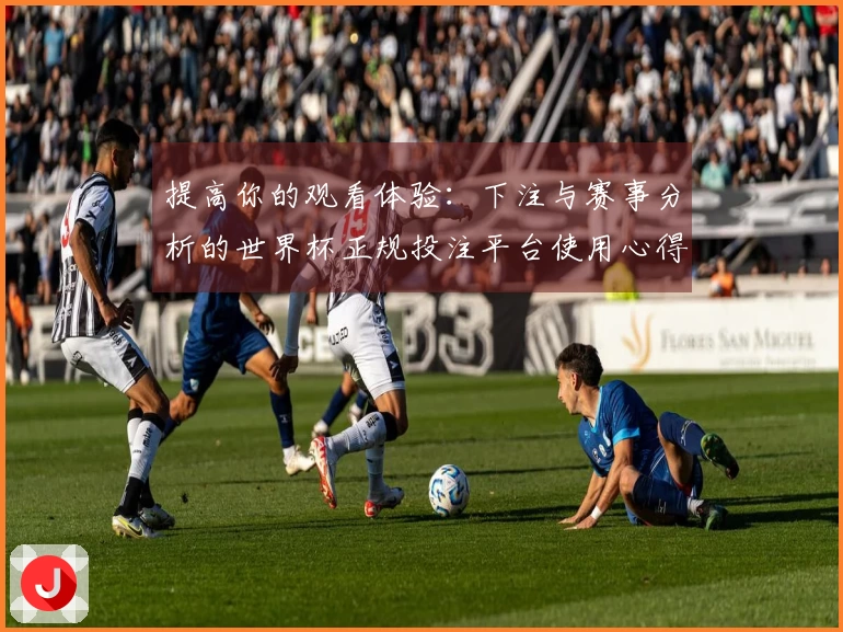 提高你的观看体验：下注与赛事分析的世界杯正规投注平台使用心得分享